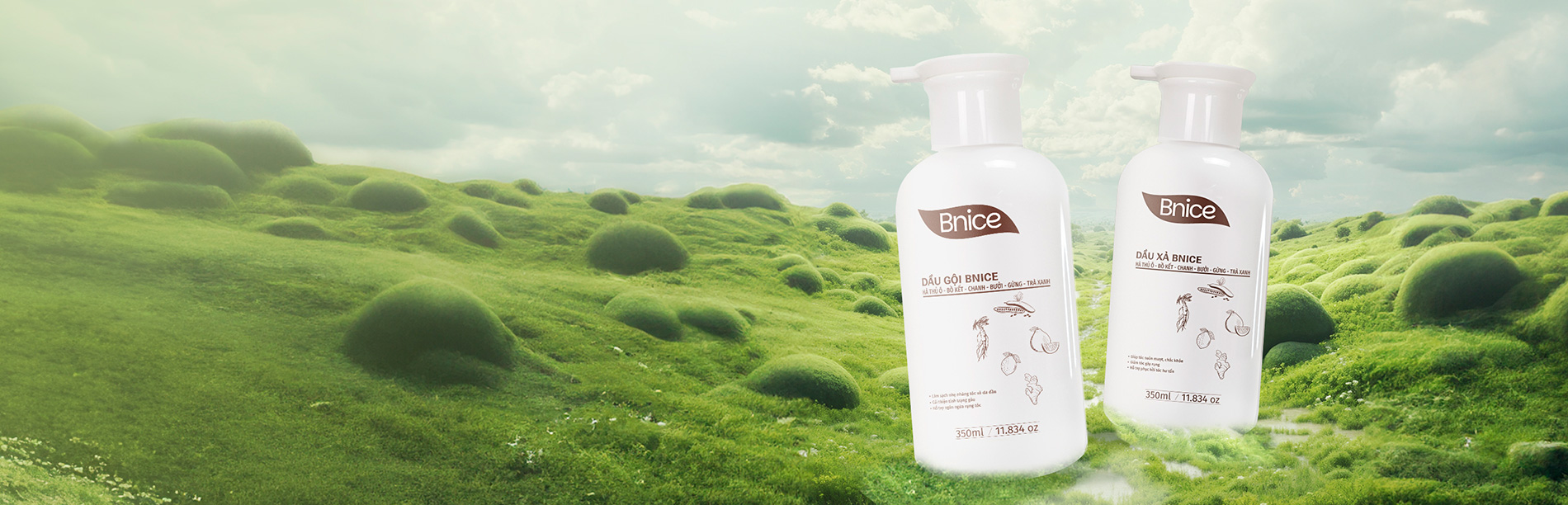 Khám Phá Dầu Gội Bnice  Từ Thiên Nhiên